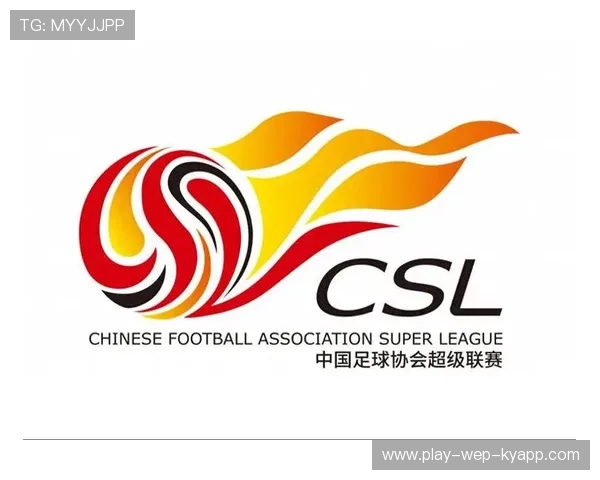 中国足球的球迷文化活动组织方案实施，中国足球球迷协会