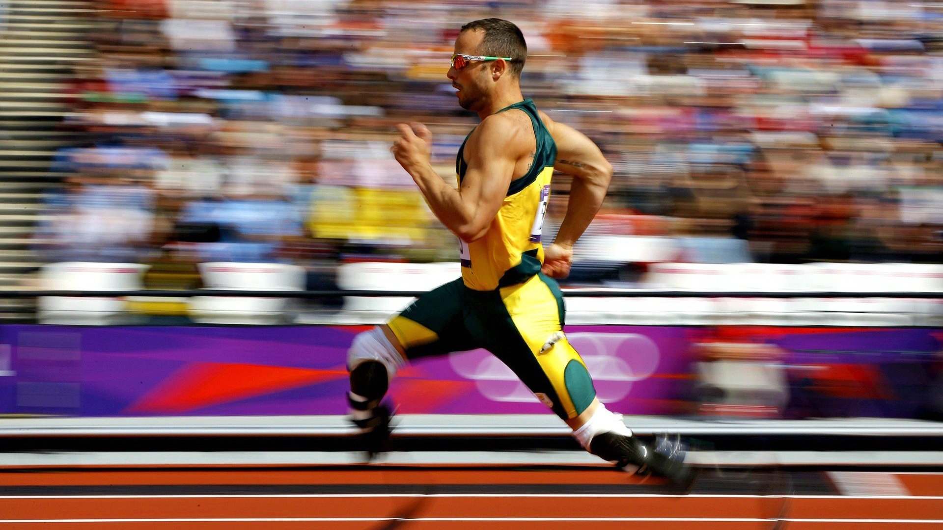 中国短道速滑世界杯首轮赛场，任子威再创佳绩强势夺金，中国短道速滑队任子威